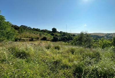 Teren de vanzare in Feleac, Intravilan