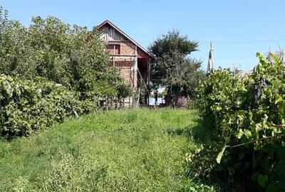 Casă independentă de vânzare - 12