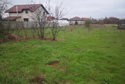 Teren de vânzare – Cornetu, Ilfov – Strada Bradului - 4