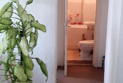 Apartament doua camere de vanzare Ultracentral - 9