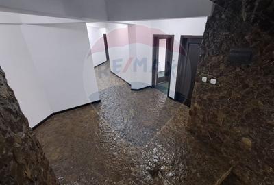 Pensiune Eselnita / 16 camere / Teren - 1448 mp / Ponton - 38