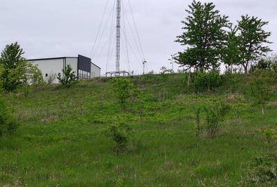 Teren intravilan 1800 mp, Centura-Ciurbesti-dubla deschidere - 1