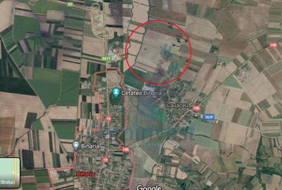 Teren agricol extravilan de 10000 mp, în Biharia