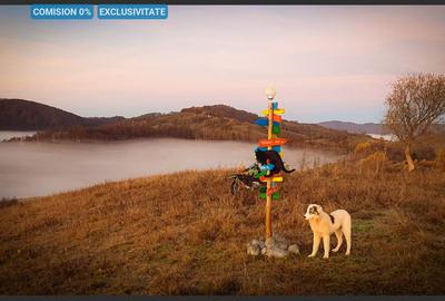 Teren intravilan  in Sohodol , Alba - 1