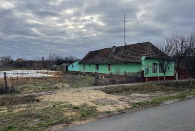 Casă și teren 2177 mp Ortisoara -28ml front-comision 0 - 1