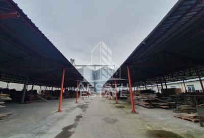 SPATIU INDUSTRIAL cu 3 hale si depozite acoperite - 4