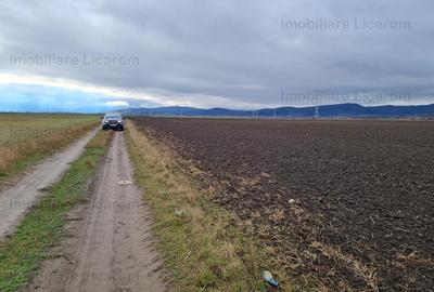 Teren extravilan 2,9 HA,intre Cristian si Vulcan - 1