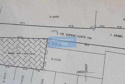 Teren intravilan de vânzare – Strada Șoimului - 3