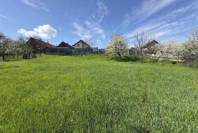 2 fronturi stradale, 632 m2, Giarmata - 1