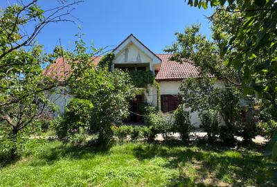 Vila P+M si ANEXA cu GARAJ, T = 1150 mp, D=28 m, Slatioara, zona centrala - 1