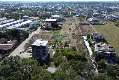 Teren - Voluntari - vis a vis de Padure - 10.000 mp - 2