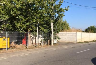 Teren Construcții intravilan de 3000 mp, în Ștefăneștii de Jos