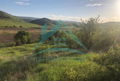 Teren Construcții extravilan de 800 mp, în Pata