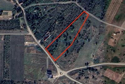 Teren intravilan de vanzare 4910 mp, Saldabagiu de Munte, Bihor - 1