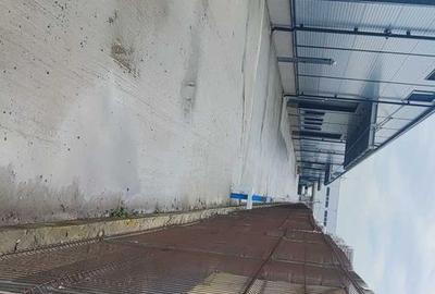 Hale noi 475 mp  Afumati -Doraly - 3