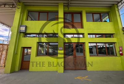 Spațiu/Hala de inchiriat | 800 mpu | Magurele - Prahova | Comision 0% - 1