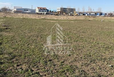 Teren pentru hala industriala, 1431 mp, Sagului- Ovidiu Cotrus - 2