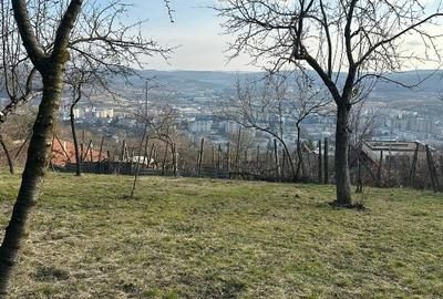 Vand Casa PLATOUL Cornesti str. CORNESTI- teren 1150 mp - 4