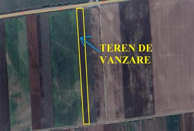 Teren Prejmer la DN 10, iesirea spre Brasov - 2