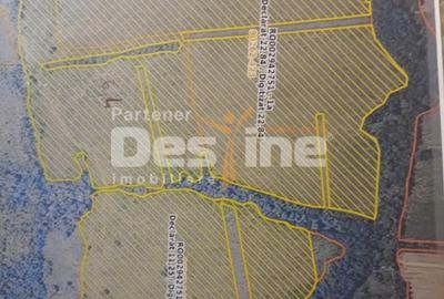 Oportunitate de investitie- teren Martinesti, Hunedoara - 1