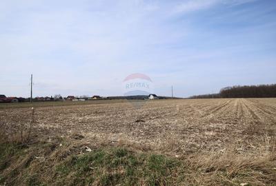 Teren 9,740mp Suceava / Strada Principala - 8