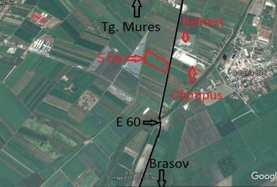 Teren Construcții extravilan de 50000 mp, în Hălchiu