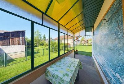 Casa:farmec traditional,gradina,curte,acces auto,pivnita,pod,anexe,Remetea,Targu - 4