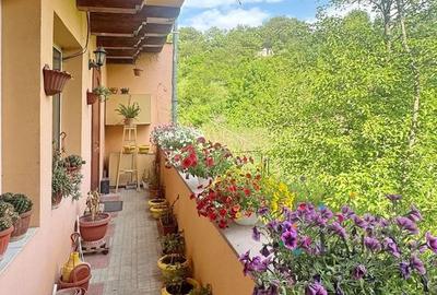 CASA CU 4 CAMERE IN ZONA BARTOLOMEU - CARIEREI - 19