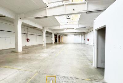 Hala industriala 675 mp, Arad central, acces TIR ideal depozit logitic - 2