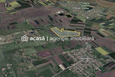 Teren 42 ha pentru parc fotovoltaic – Macea, Arad - 3