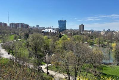 Apartament cu 3 camere in TEI-Parcul Circului - 12