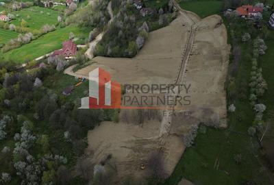 Parcele 1000 mp Sohodol - 8