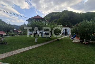 Spatiu de vanzare in Valea Macesului judel Valcea iesire la Lotru - 27