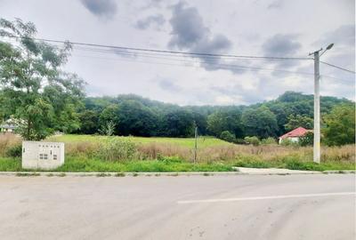Teren superb Rasnov str Izvorului Cartierul Primaverii - 7