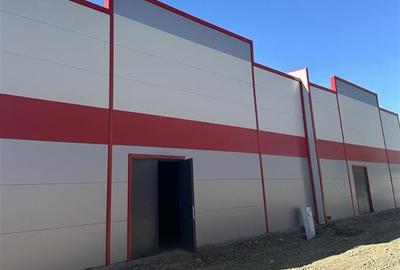 Inchiriere depozit/hala/spatiu industrial/parc logistic Jilava - Giurgiului - 8