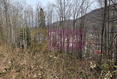 Tere intravilan de vanzare in Sinaia - 3
