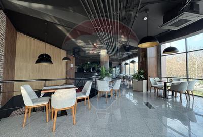 Restaurant & terasa la cheie I  stradal gata de operare I Baba Novac - 2