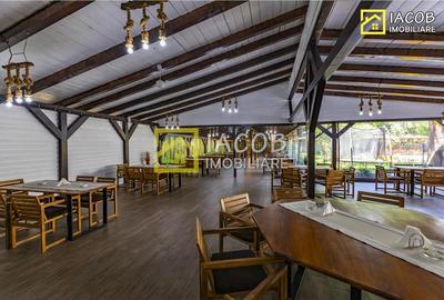 Popas Dumbravita, DN23 Focsani - Galati/Braila - 10