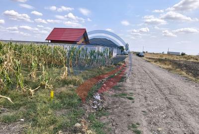 Teren intravilan 5087 mp de vânzare – Pielești - 8