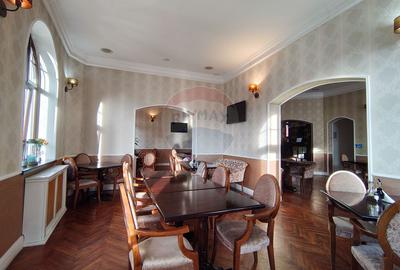 Două vile de patrimoniu, restaurate integral - 17