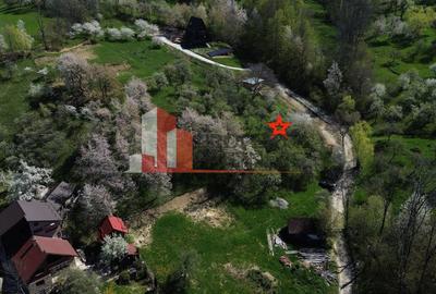 Teren 2500 mp Sohodol - 5