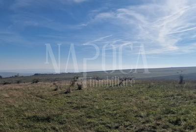 Teren extravilan agricol de vanzare in Iris, Cluj Napoca - 1