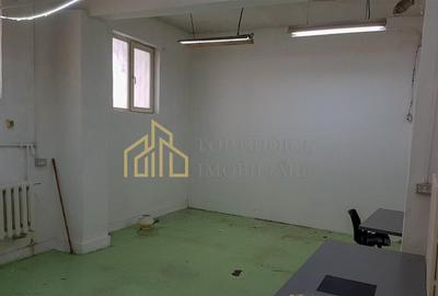 SPATIU COMERCIAL TEI PARCUL CIRCULUI IDEAL DEPOZIT / LOGISTICA - 22