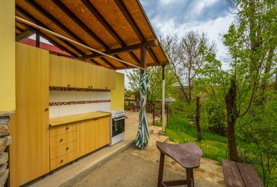 Provita de Sus, Prahova, Casa renovata, Comision 0 % - 27