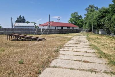 Teren langa padure,aproape de Bucuresti 10 275 mp de liniste. - 6