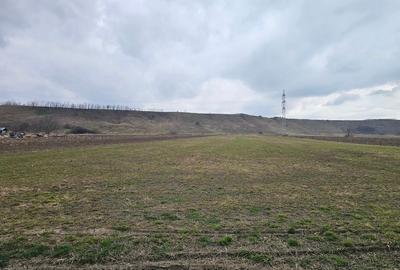 Oportunitate investitie – Teren intravilan in Bacau - 5