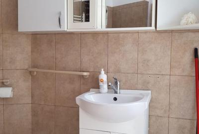 Vanzare garsoniera la curte, Stefan cel Mare Tunari, parter inalt, 65000 euro - 13