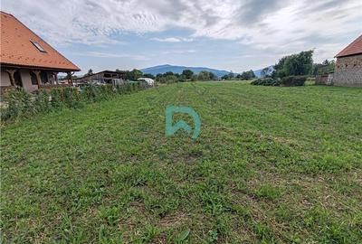 Teren Construcții intravilan de 2841 mp, în Prejmer