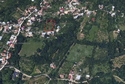 Comarnic(Ph) – doua terenuri cu toate utilitatile, asfalt, padure - 4