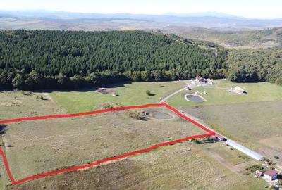 De vânzare teren extravilan – 1,8 ha sigmir - 5